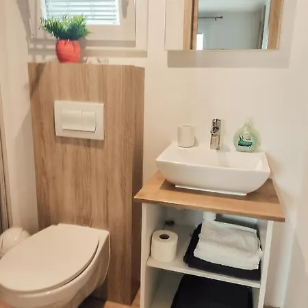 营地 Mobile Aloha 迪斯诺